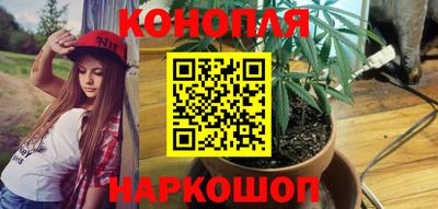 прущие грибы Ликино-Дулёво