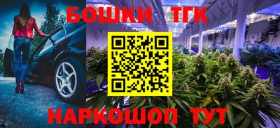 круглые Лесосибирск