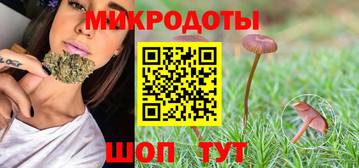 Псилоцибиновые грибы прущие грибы Калач-на-Дону