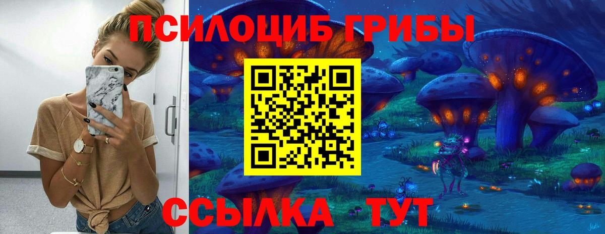 Галлюциногенные грибы мицелий  Псилоцибиновые грибы Cubensis  Вход с VPN  Калач-на-Дону 